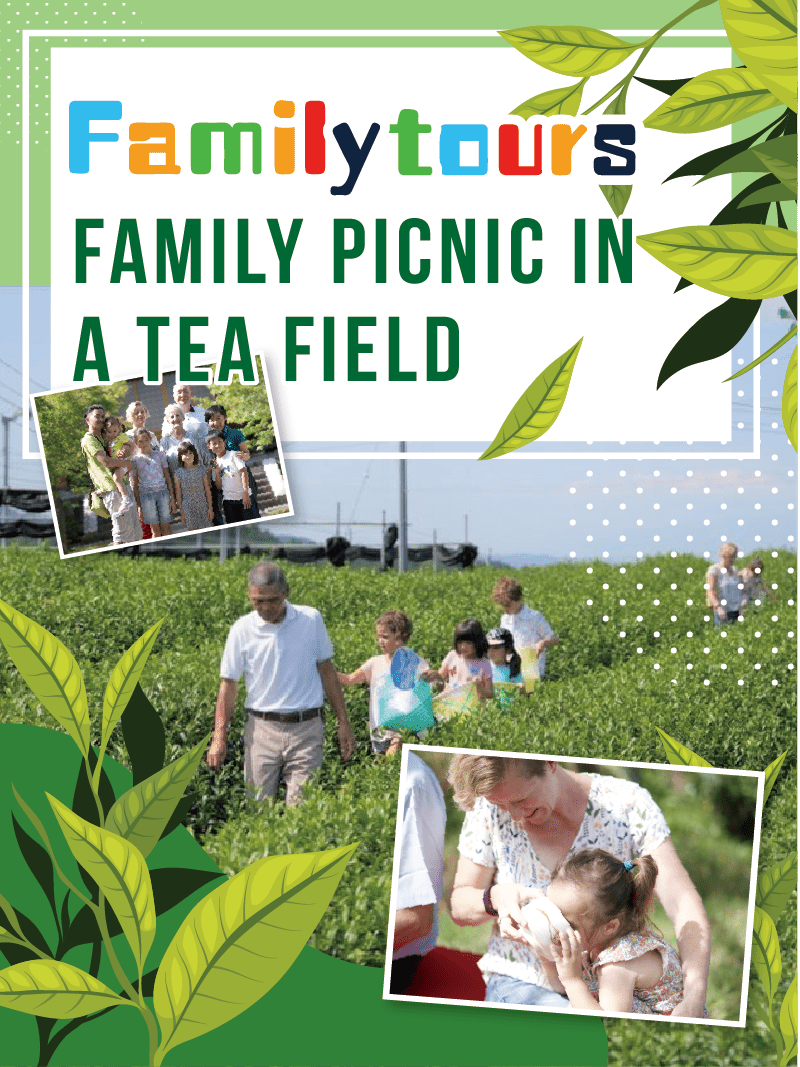 Family tours FAMILY PICNIC IN A TEA FIELD